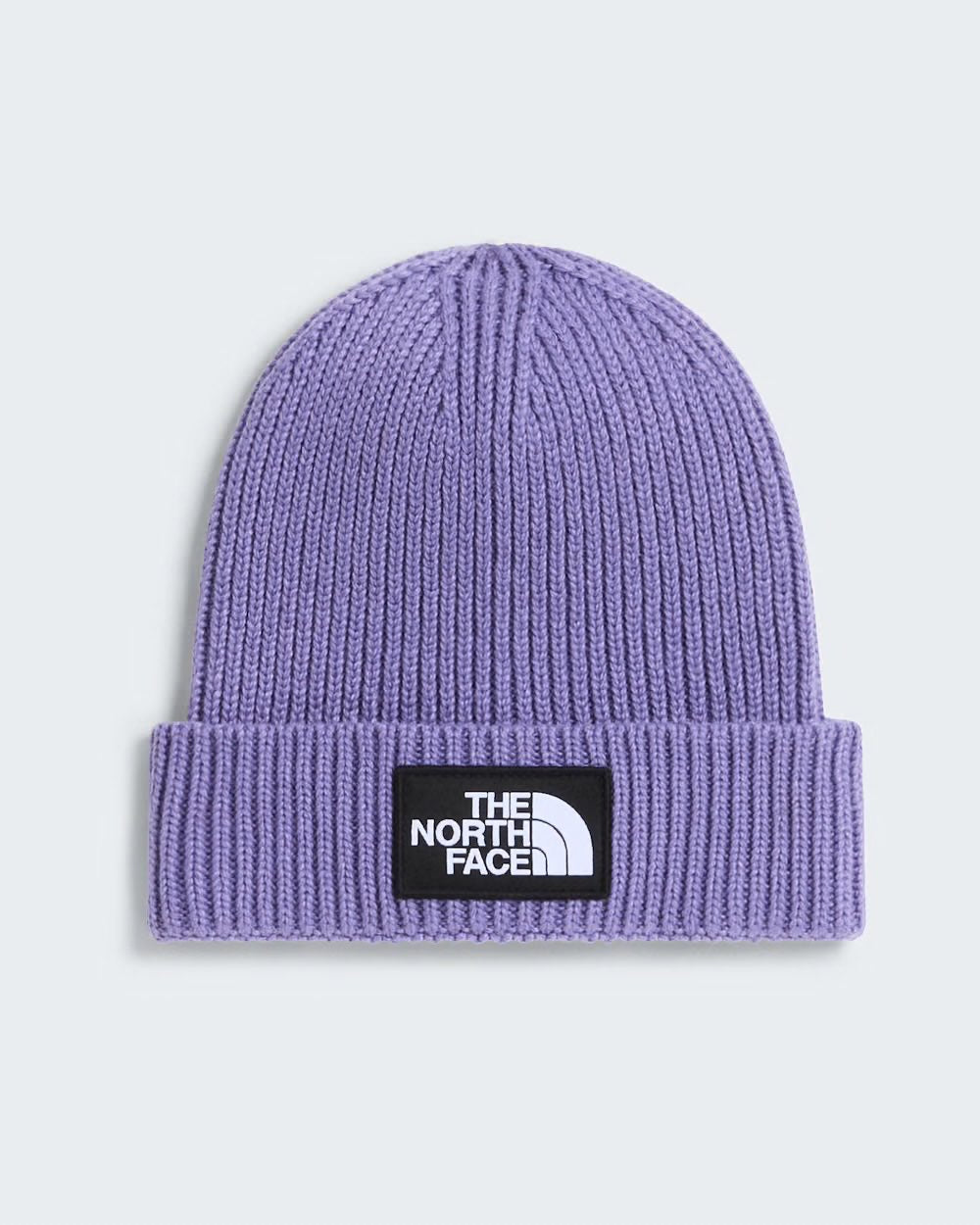 KIDS LOGO BOX BEANIE GROUNDED PLUM - Accessori abbigliamento - THE NORTH FACE