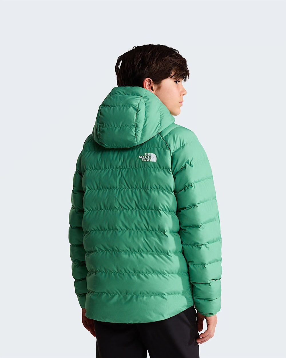 B REVERSIBLE PERRITO HOODED JACKET DIMMED ALGAE - ABBIGLIAMENTO - THE NORTH FACE